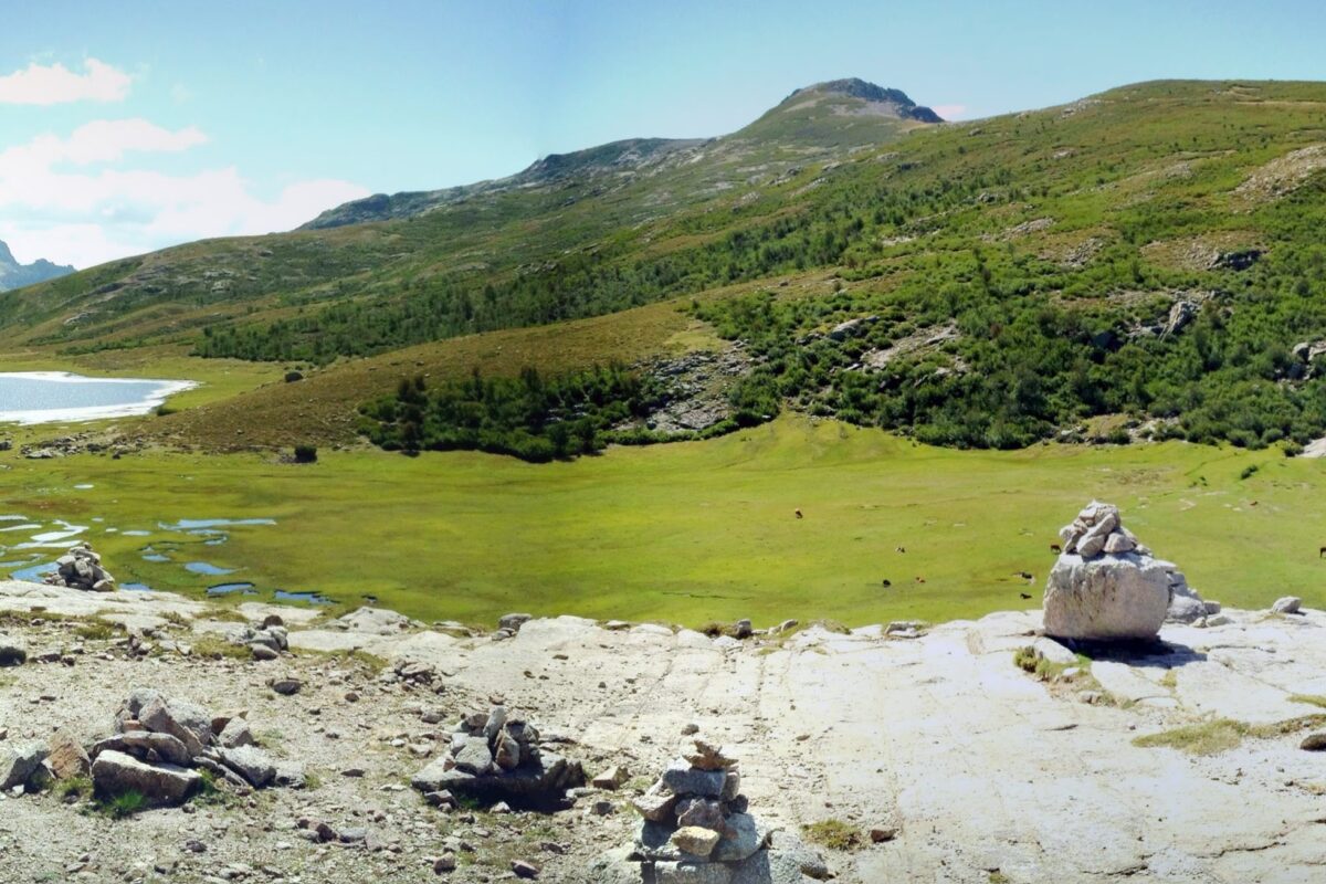 Typische Feuchtwiesen hoch in den Bergtälern