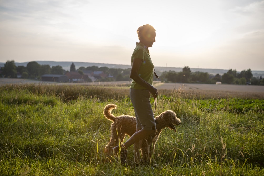 Autoreisen mit Hund so geht’s entspannt mit Hund in den Urlaub