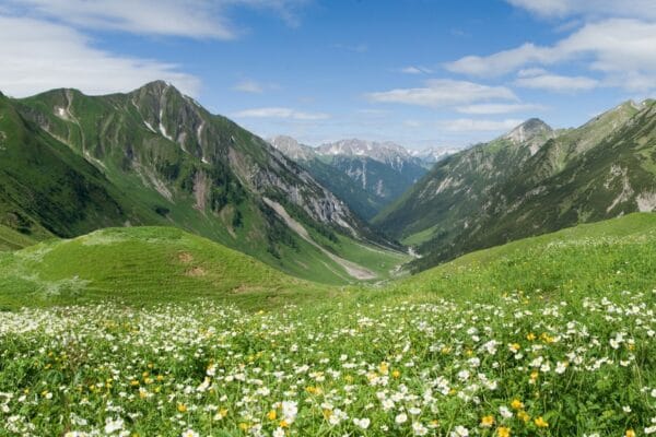 Landschaft Tirol