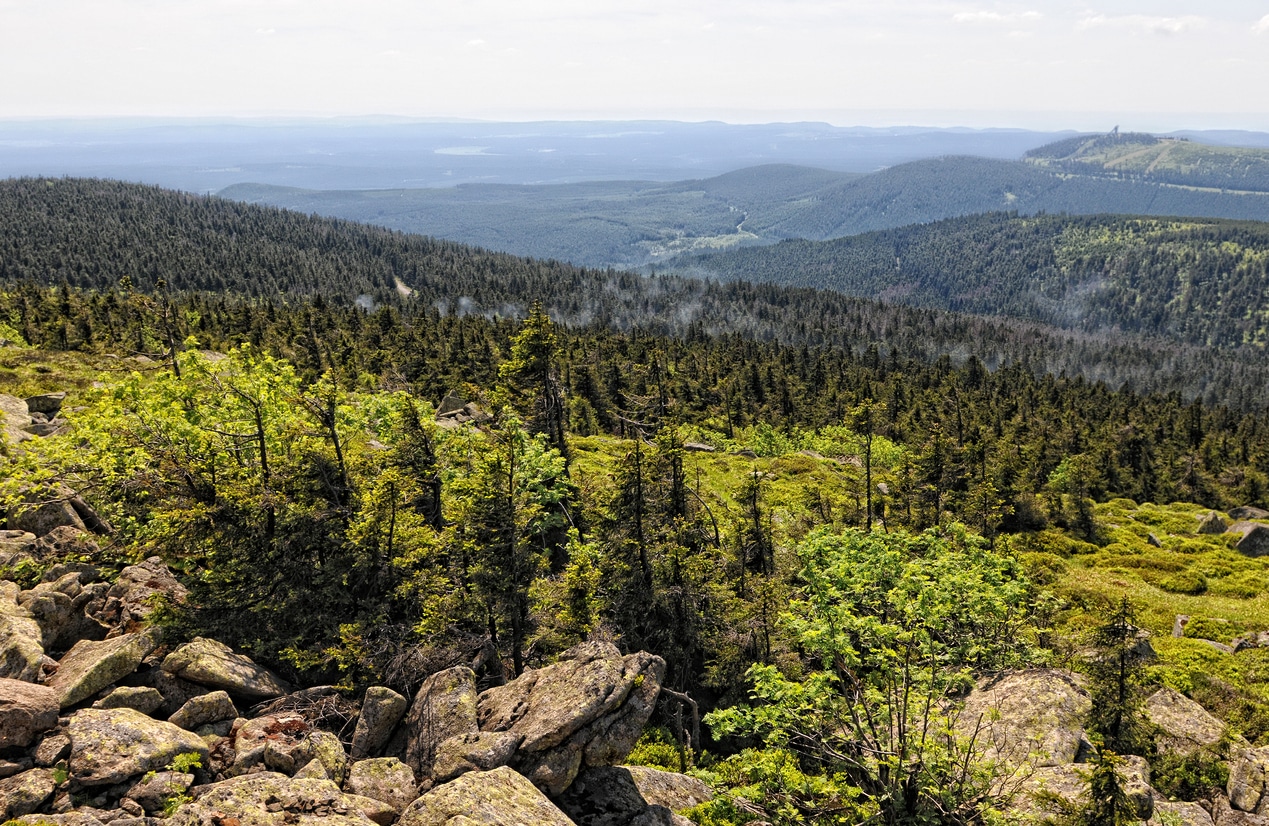 Der Brocken Im Harz Ein Erlebnis 