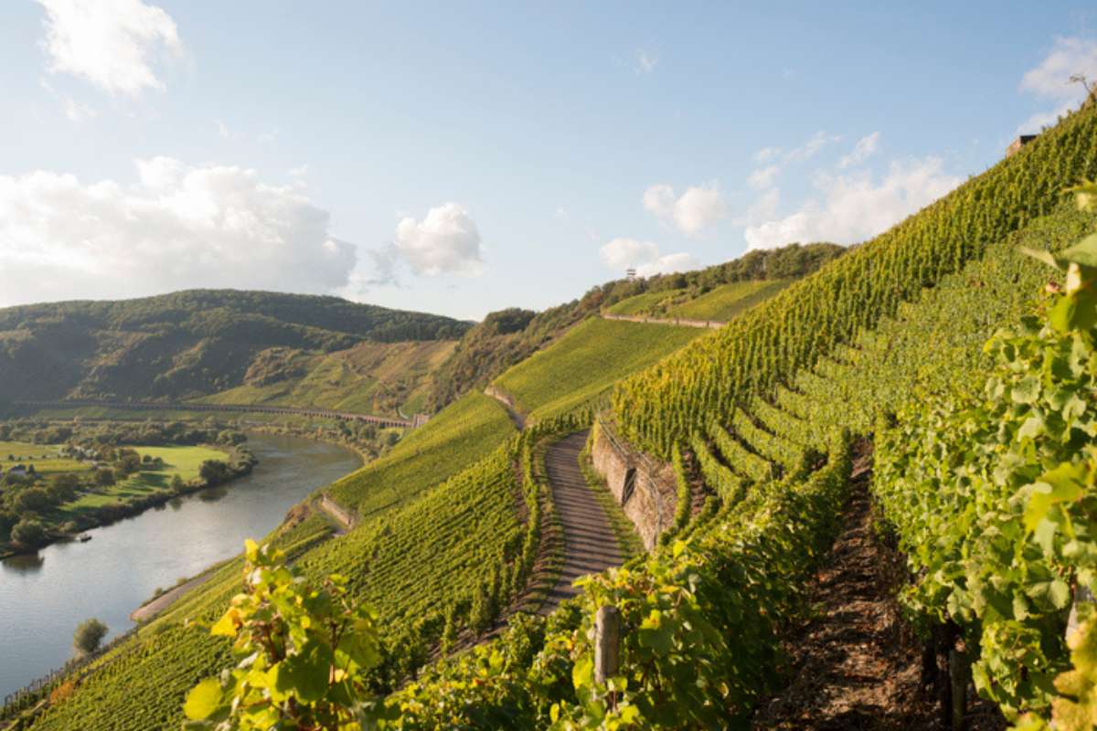 Weingut Marienburg an der Mosel