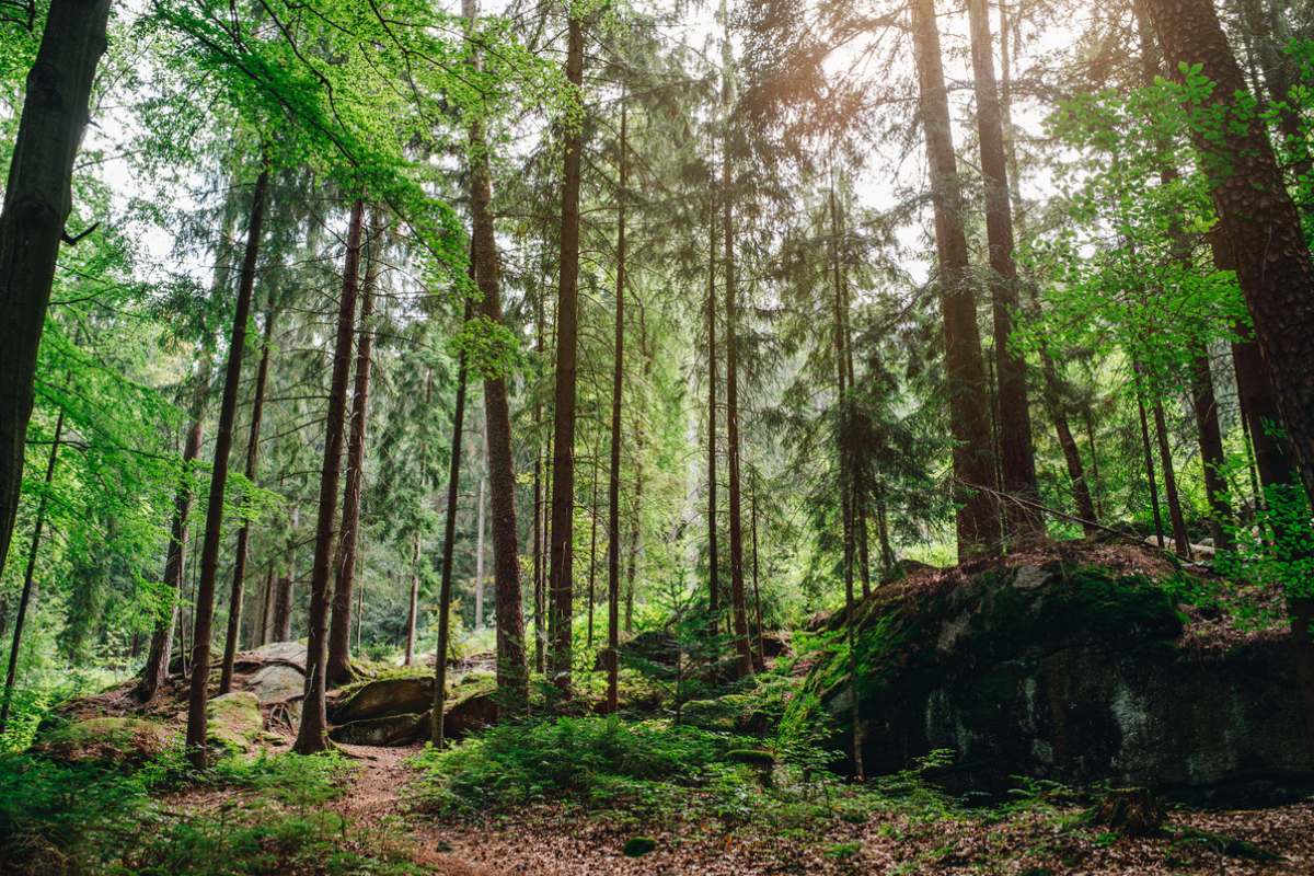 Fichtelgebirge Felsenlabyrinth