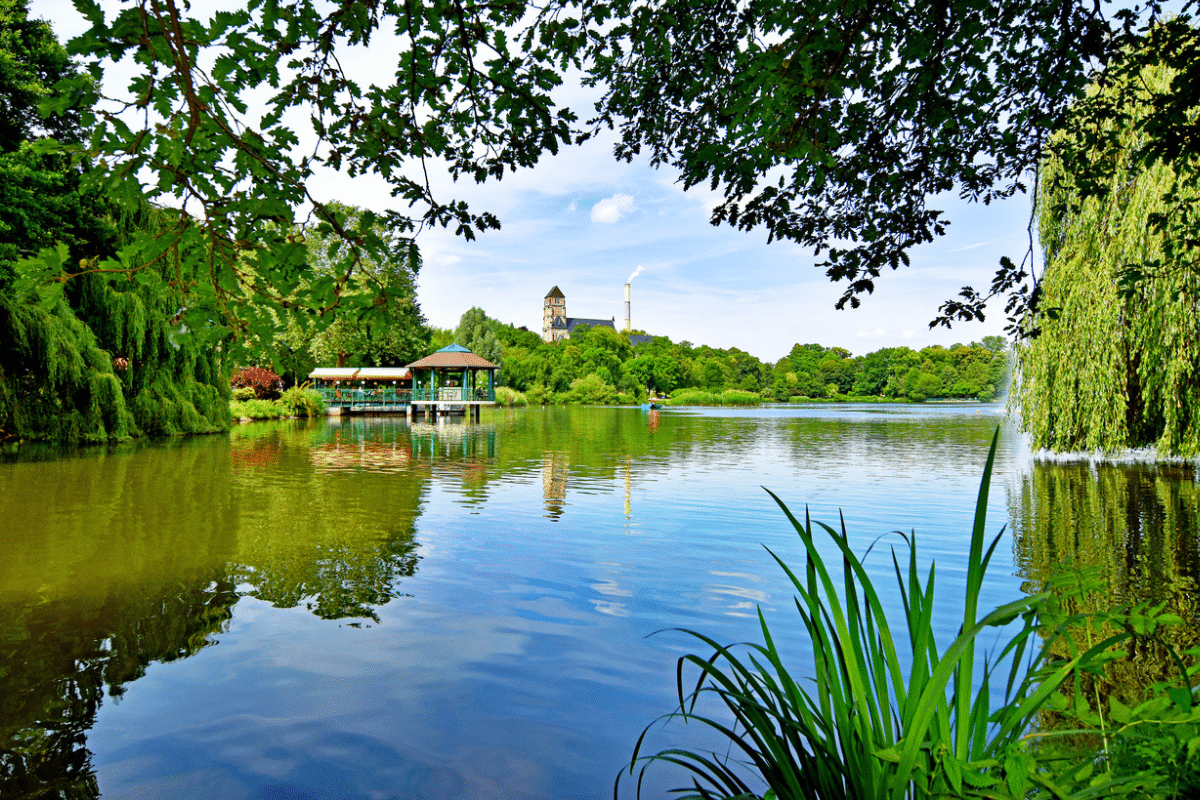 Natur in der Kulturhauptstadt Chemnitz