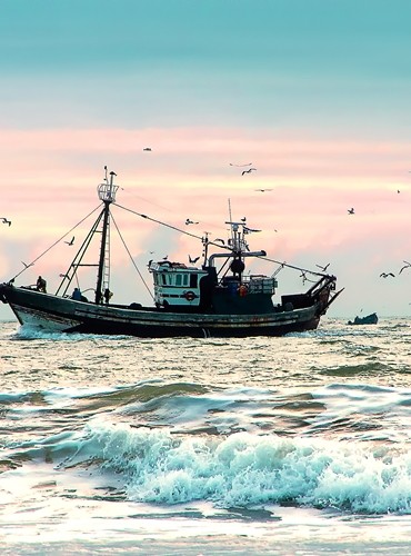 Ferienhäuser &amp; Ferienwohnungen in Neuharlingersiel mieten