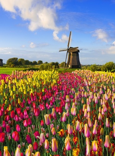 Ferienhäuser &amp; Ferienwohnungen in Drenthe mieten