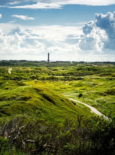 Ferienhäuser &amp; Ferienwohnungen in Dornum & Umland mieten