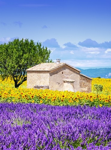 Ferienhäuser &amp; Ferienwohnungen in Südfrankreich mieten