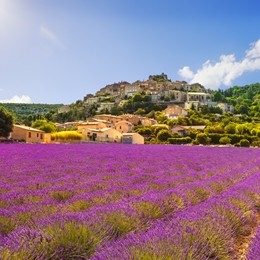 Mandelieu La Napoule