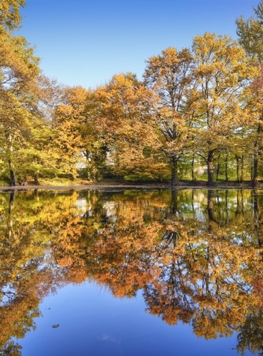 Ferienhäuser &amp; Ferienwohnungen im Fürstenberger Seenland mieten