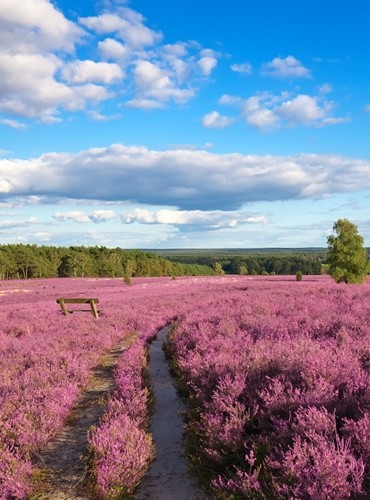 Ferienhäuser &amp; Ferienwohnungen in Wendland mieten