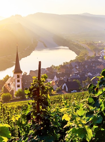 Ferienhäuser &amp; Ferienwohnungen in Rheinland-Pfalz mieten