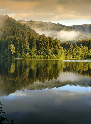 Ferienhäuser &amp; Ferienwohnungen im Harz (Niedersachsen) mieten