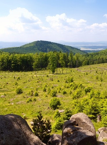 Ferienhäuser &amp; Ferienwohnungen im Rennsteig mieten