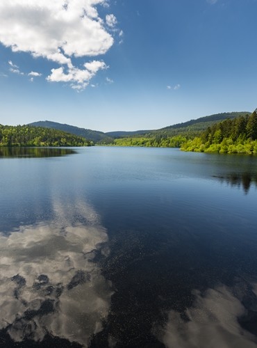 Ferienhäuser &amp; Ferienwohnungen im Hochschwarzwald mieten