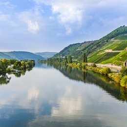 Bernkastel-Kues & vicinity