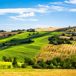 Urbino