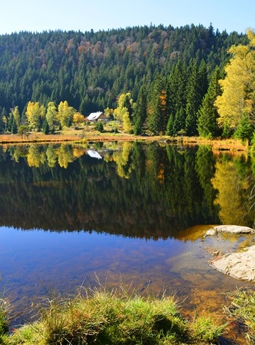 Ferienhäuser &amp; Ferienwohnungen in Bayerischer Wald mieten