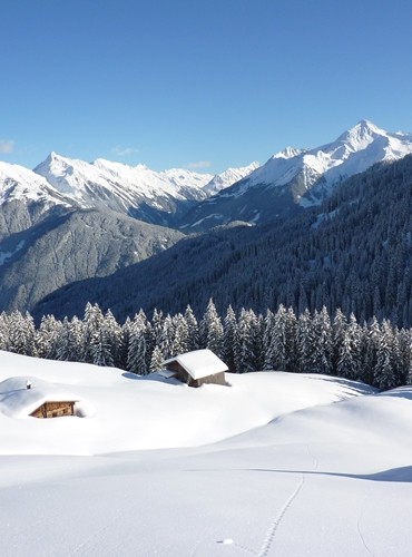 Ferienhäuser &amp; Ferienwohnungen im Kleinwalsertal mieten