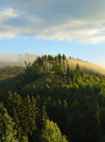 Ferienhäuser &amp; Ferienwohnungen in Braunlage mieten