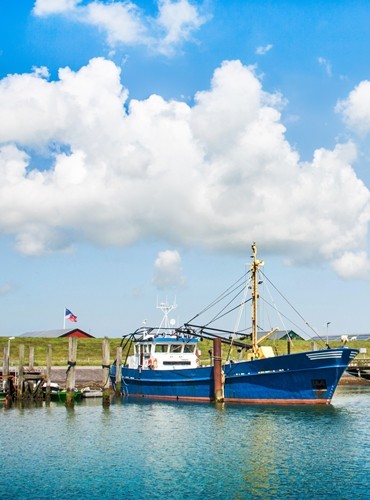 Ferienhäuser &amp; Ferienwohnungen auf Büsum mieten